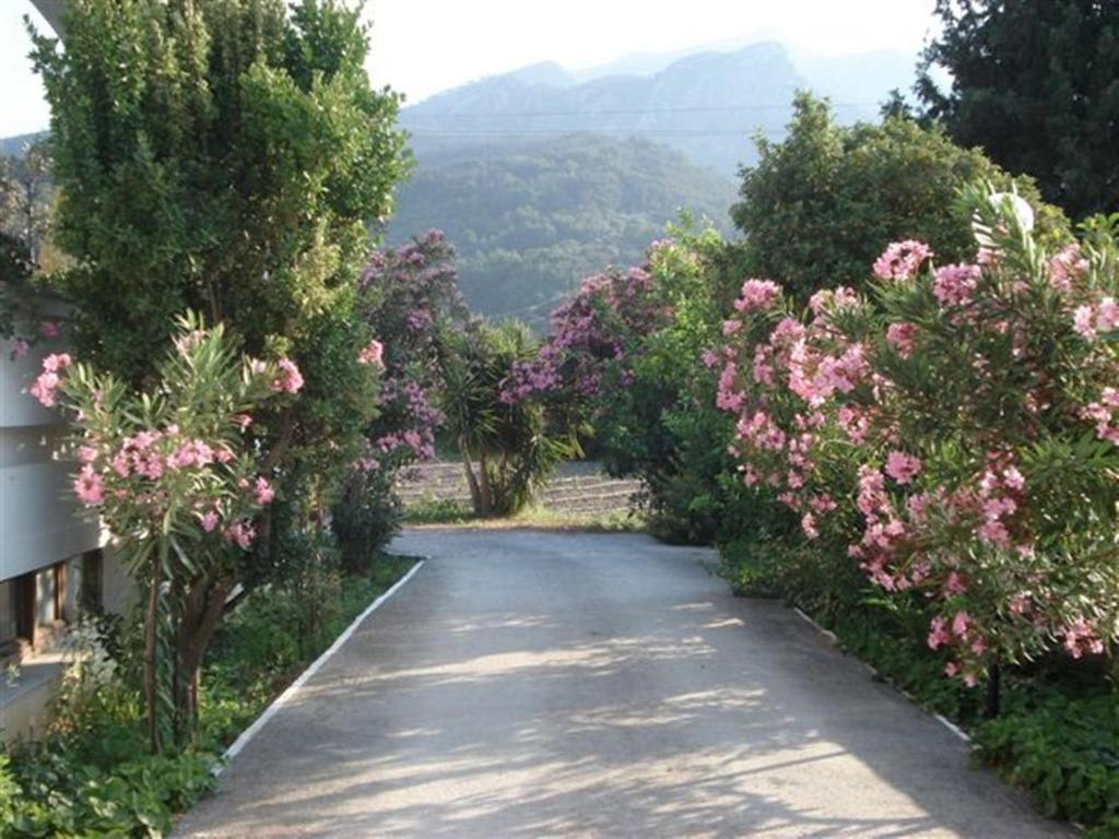 Hotel Venus Samos Island Exteriér fotografie